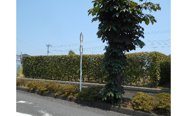 西側（2023年7月撮影）